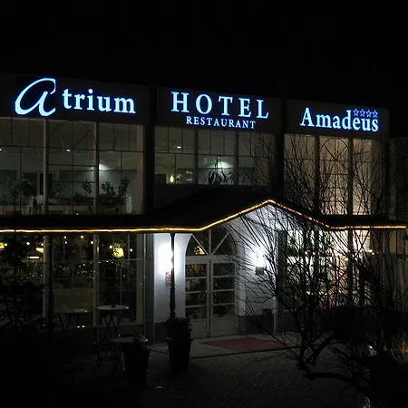 ホテル アトリウム アマデオス 4*